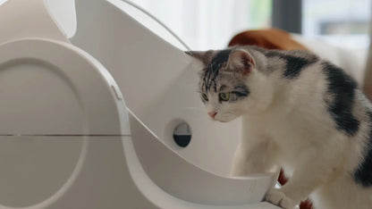 Petelier Autoscooper 11 Self-cleaning Smart Cat Litter Box - Automatic Cat Litter Box