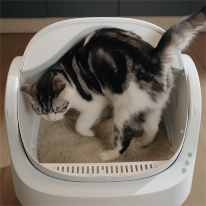 Petelier Autoscooper 11 Self-cleaning Smart Cat Litter Box - Automatic Cat Litter Box